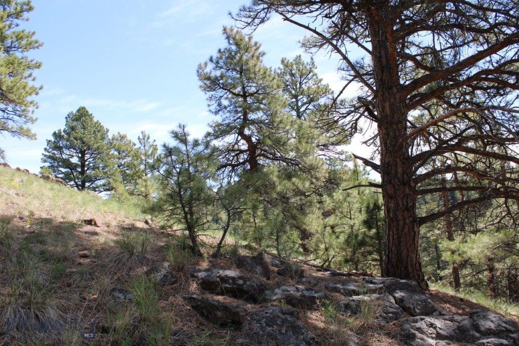 6 Pine Coulee Property Photo 16