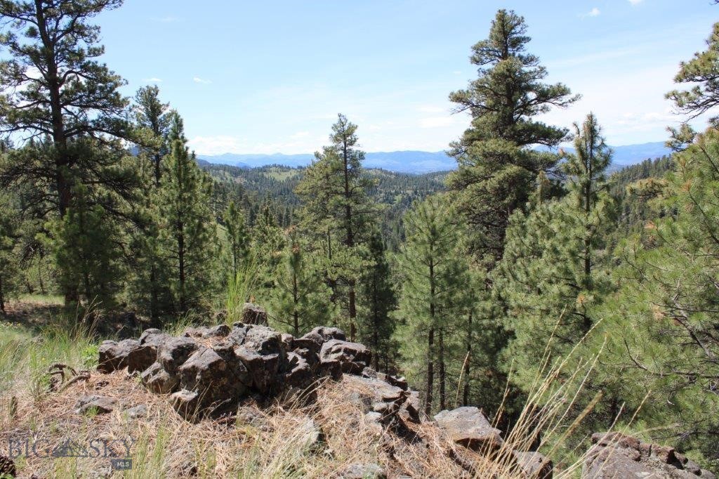 6 Pine Coulee Property Photo 17
