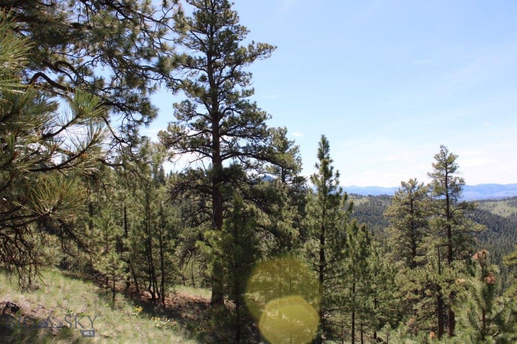 6 Pine Coulee Property Photo 18