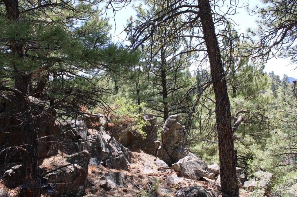 6 Pine Coulee Property Photo 19