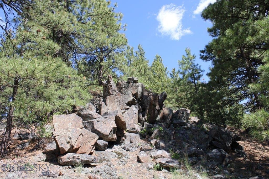 6 Pine Coulee Property Photo 20