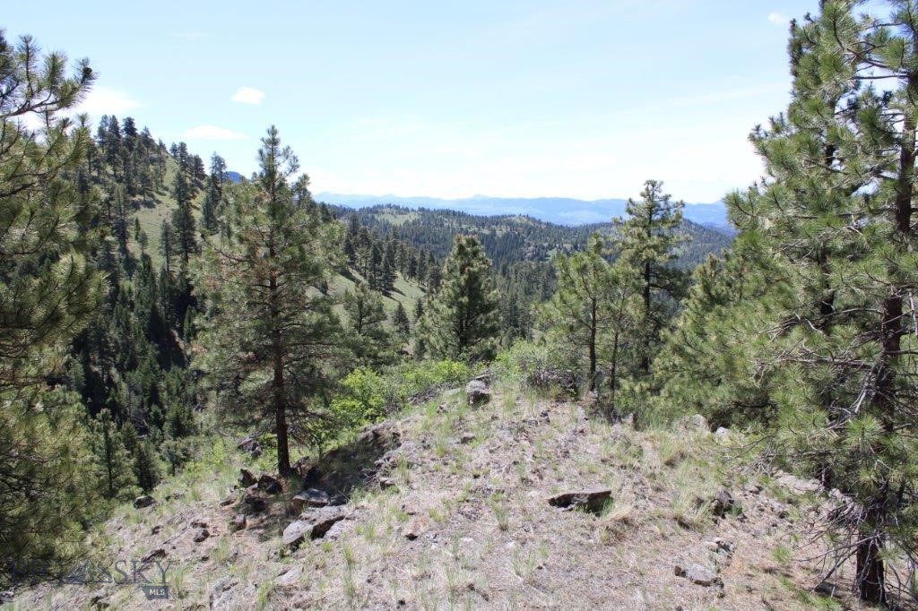 6 Pine Coulee Property Photo 22