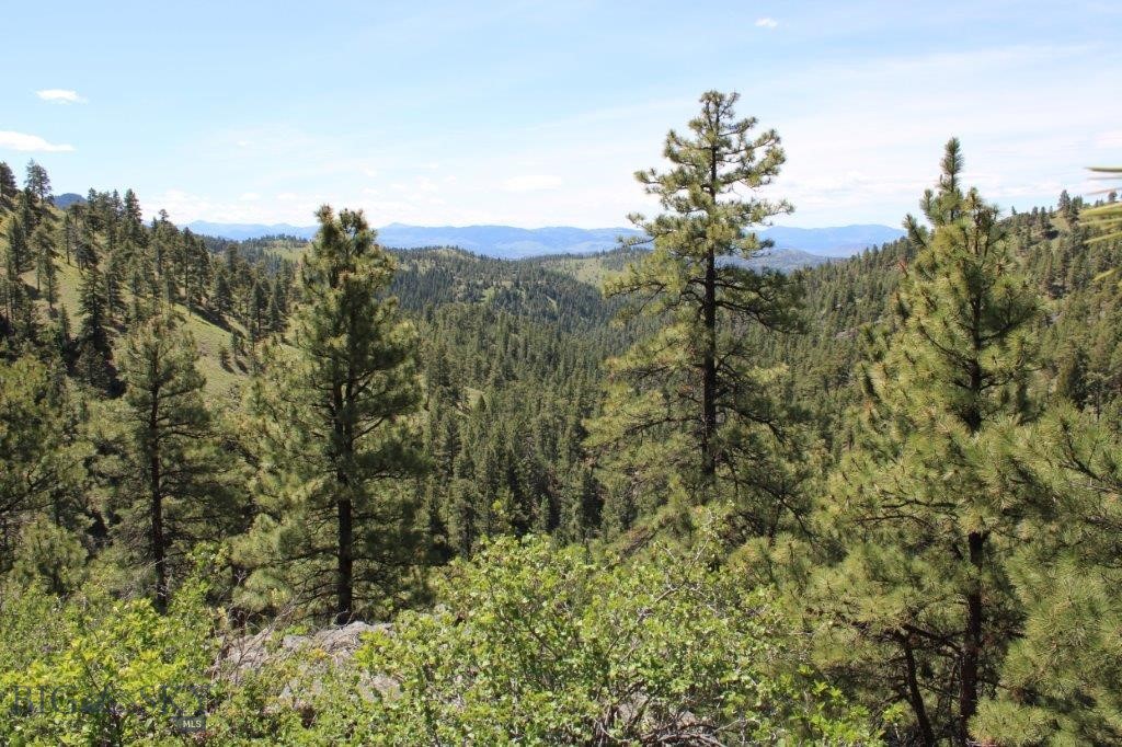 6 Pine Coulee Property Photo 23