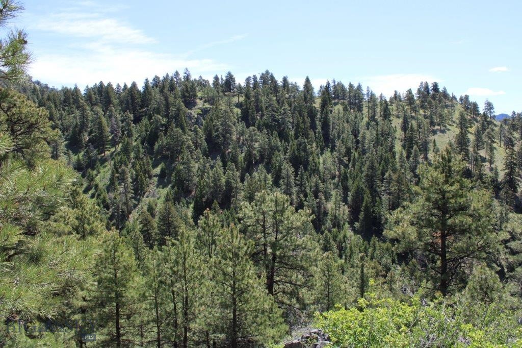 6 Pine Coulee Property Photo 24