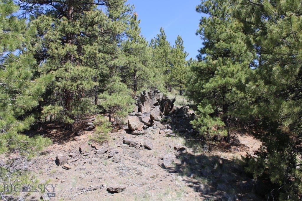 6 Pine Coulee Property Photo 25