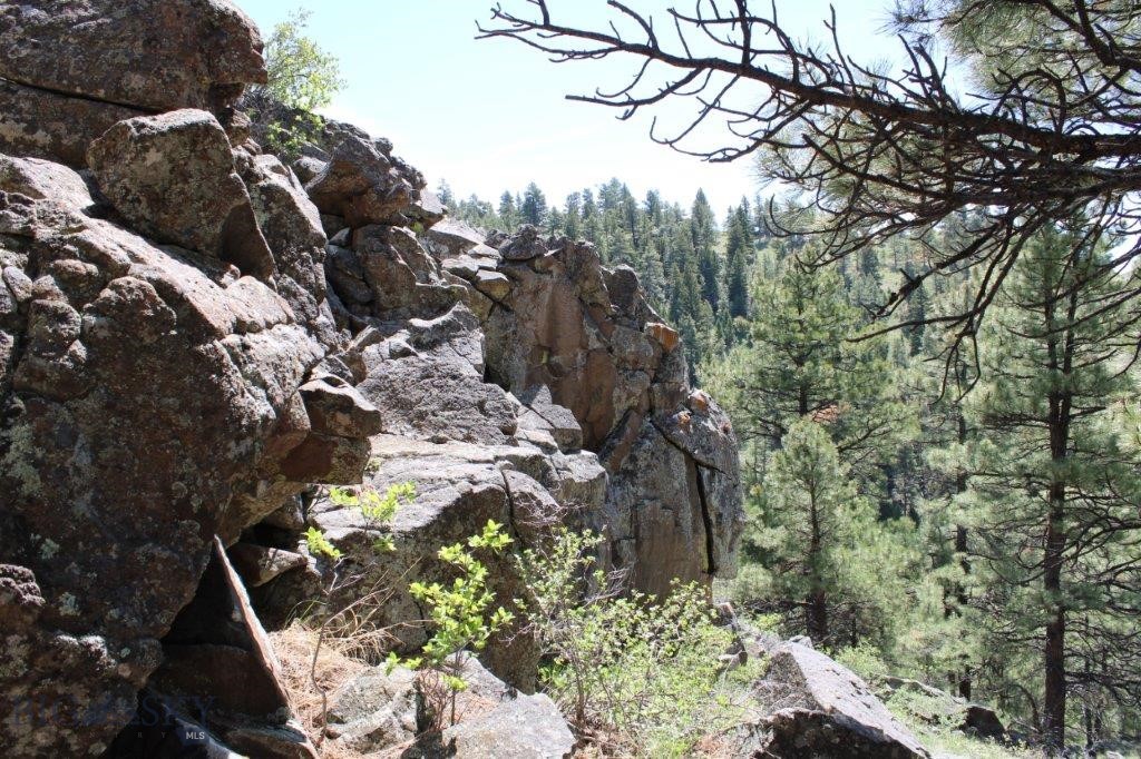 6 Pine Coulee Property Photo 26