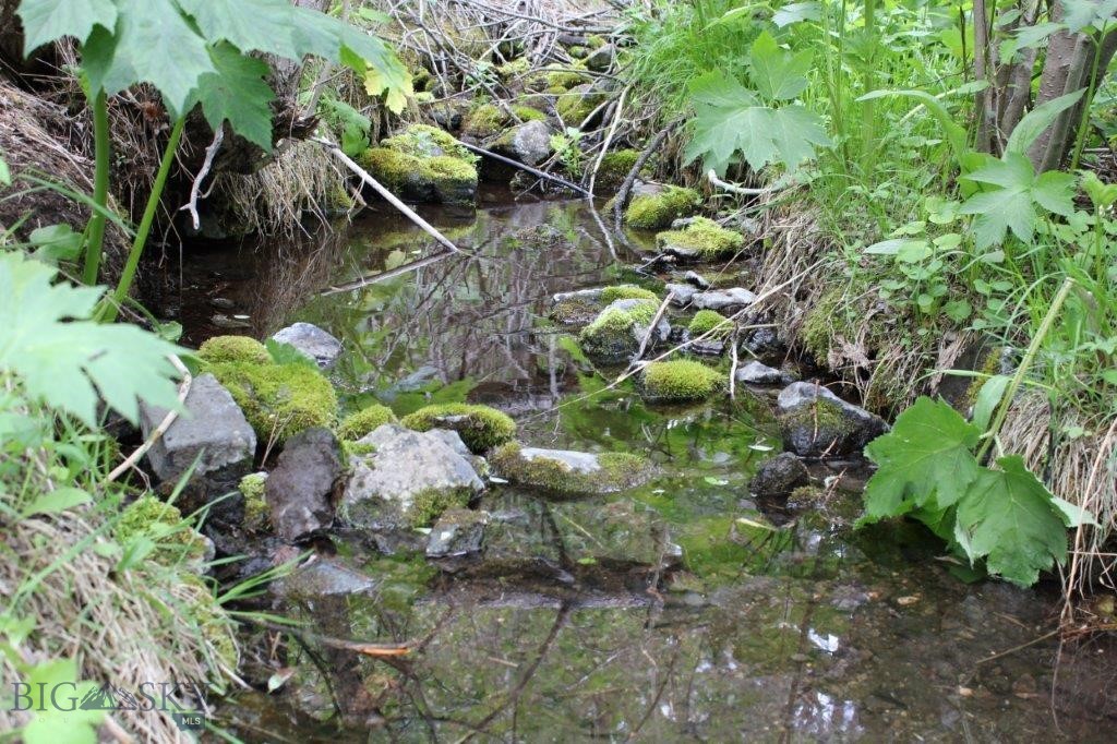 6 Pine Coulee Property Photo 28