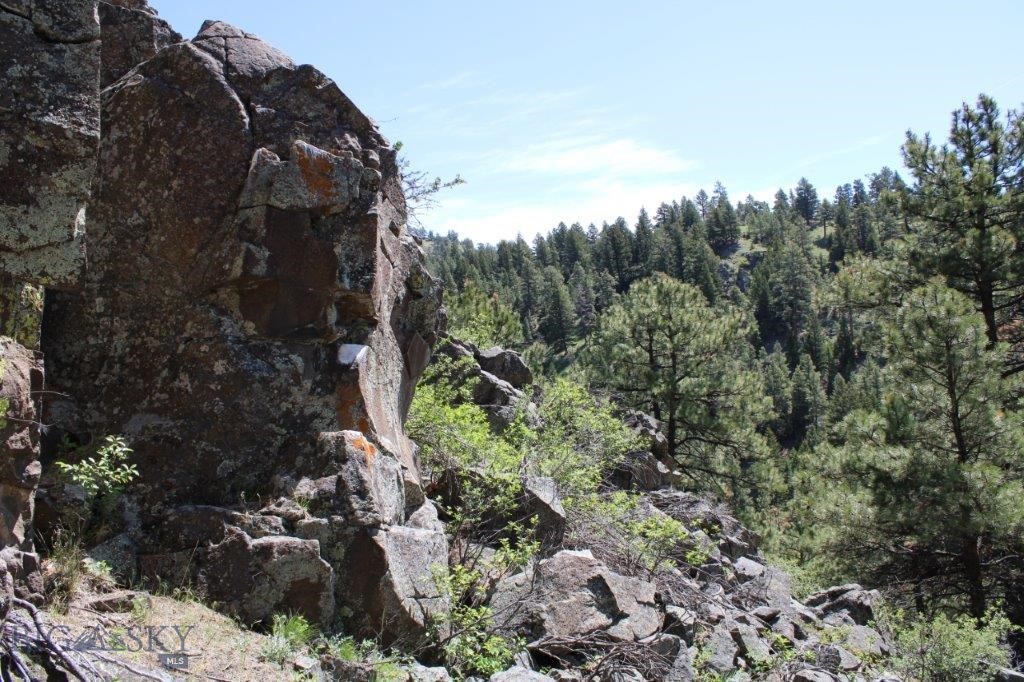 6 Pine Coulee Property Photo 29
