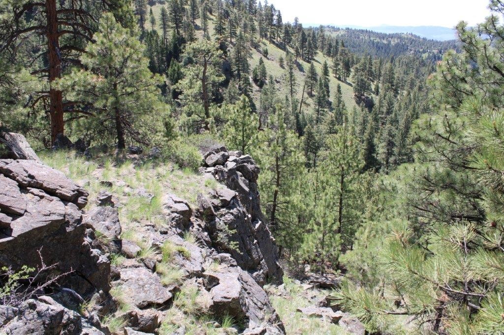 6 Pine Coulee Property Photo 31