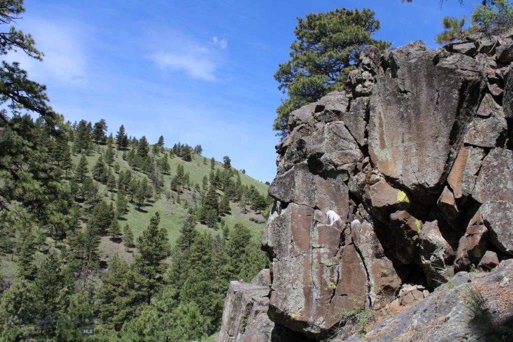 6 Pine Coulee Property Photo 32