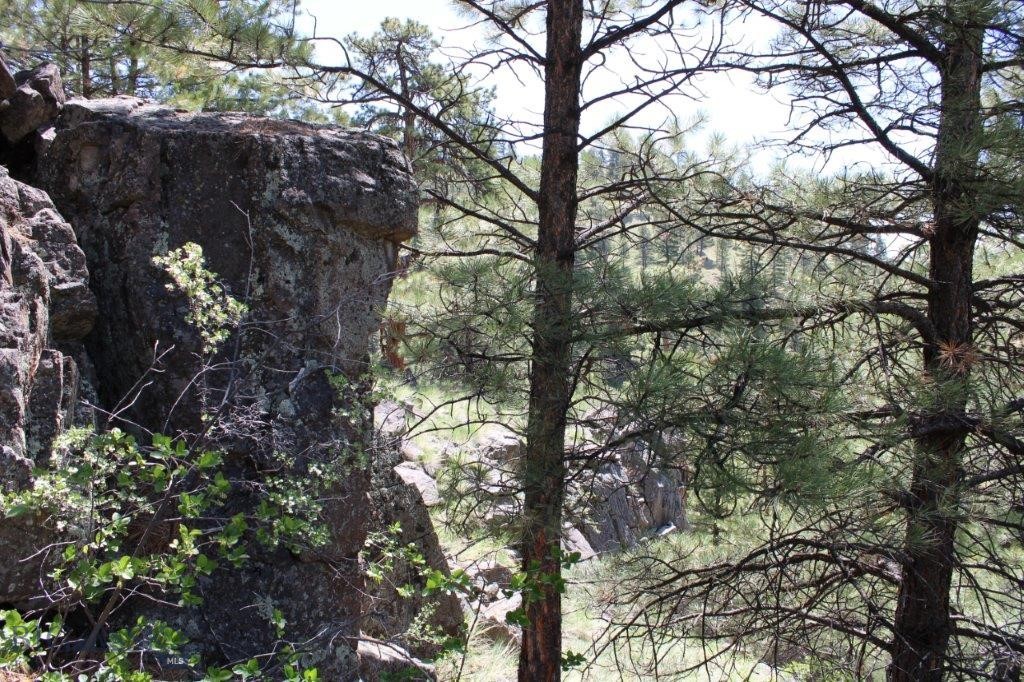 6 Pine Coulee Property Photo 33