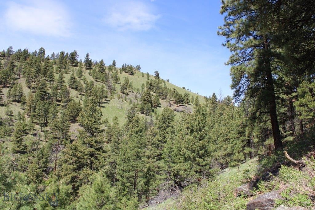 6 Pine Coulee Property Photo 35