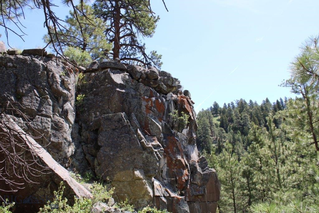 6 Pine Coulee Property Photo 36