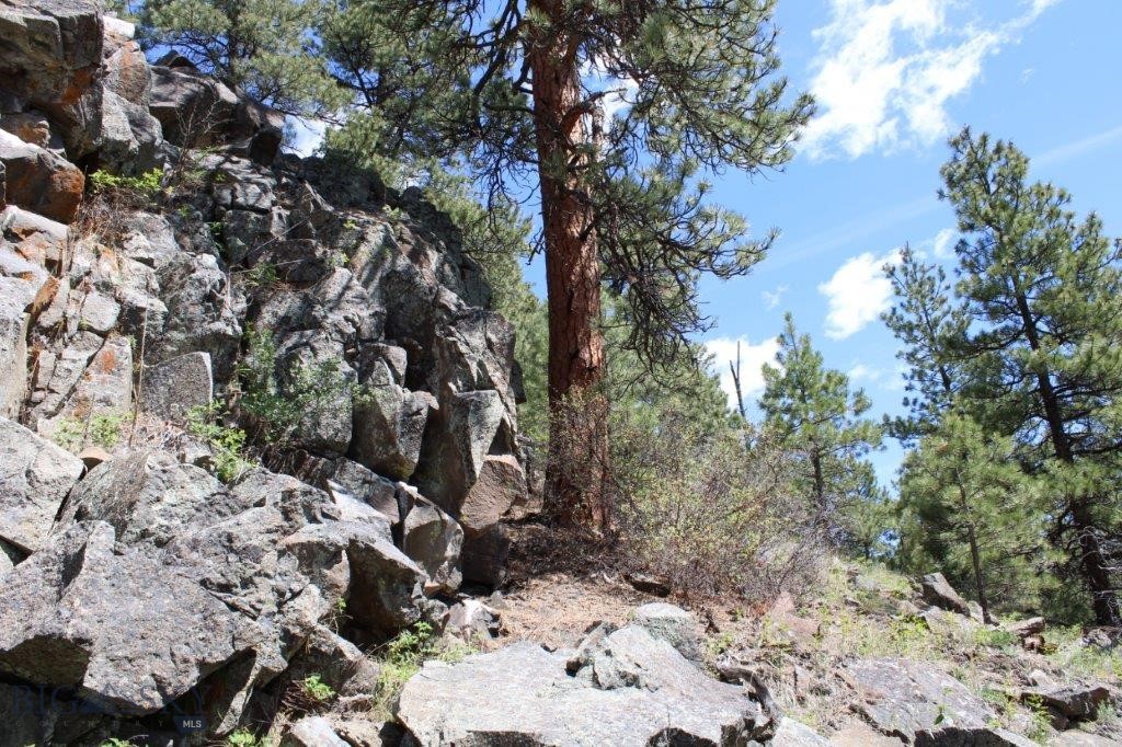 6 Pine Coulee Property Photo 38