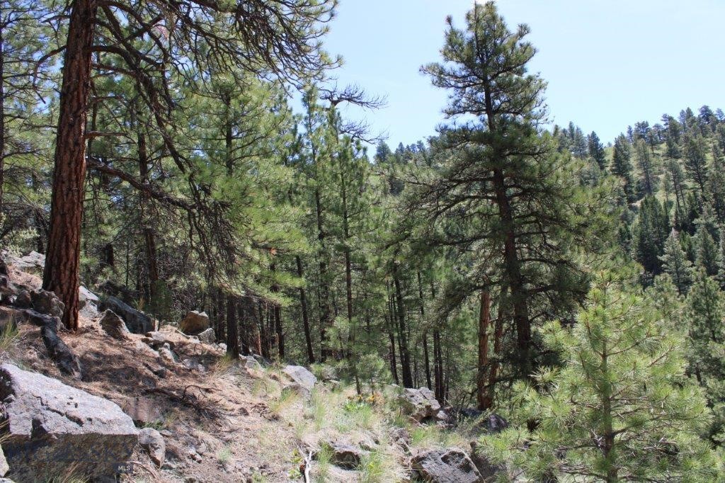 6 Pine Coulee Property Photo 39