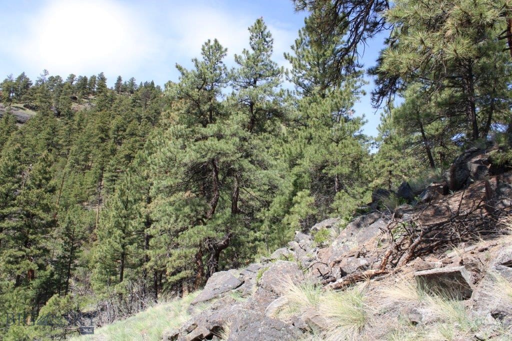 6 Pine Coulee Property Photo 40
