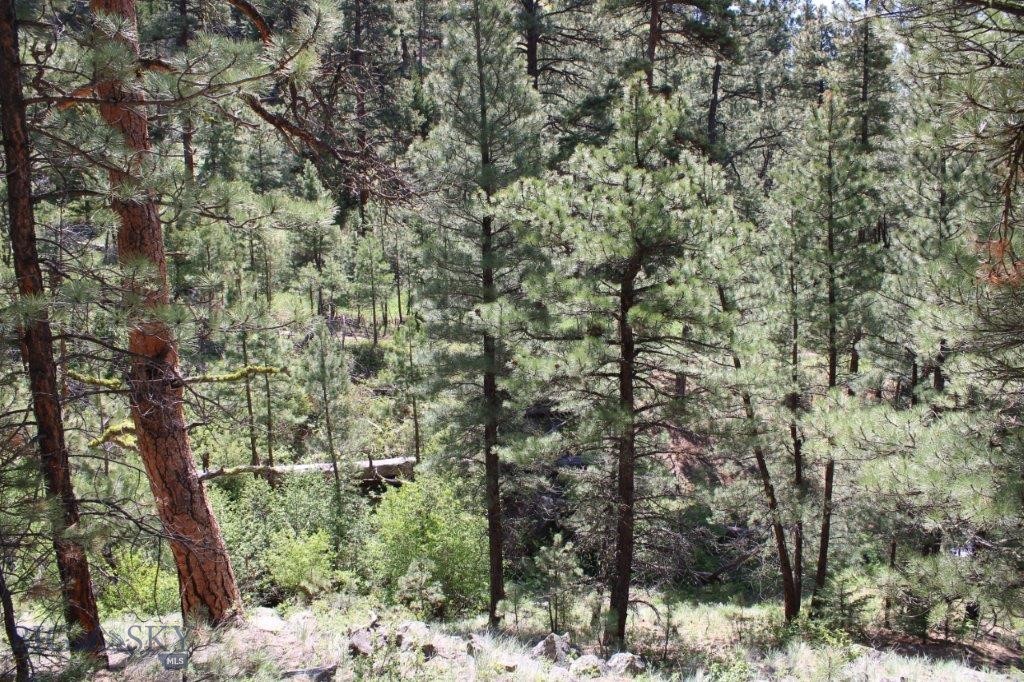6 Pine Coulee Property Photo 41
