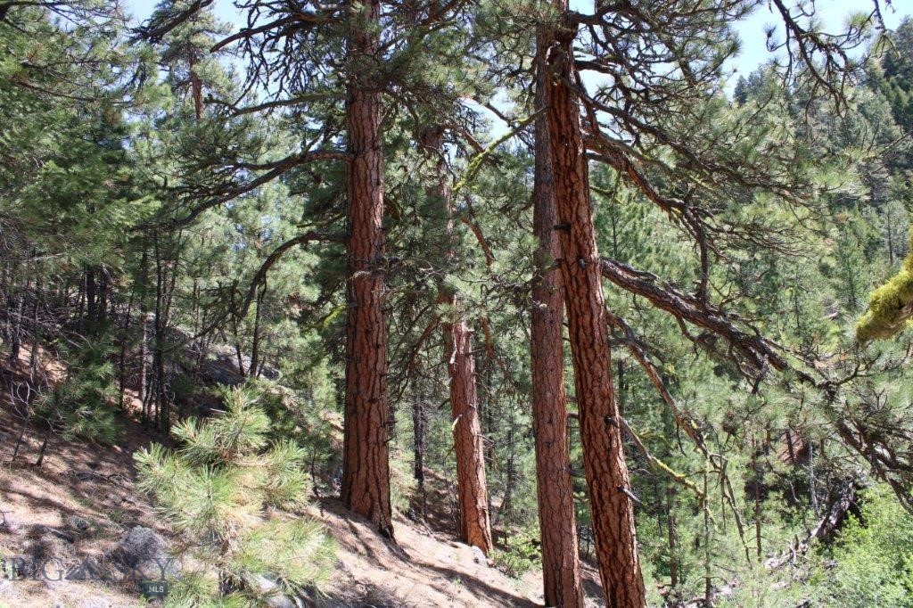 6 Pine Coulee Property Photo 42