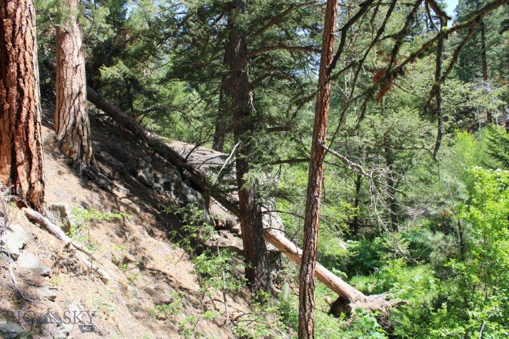 6 Pine Coulee Property Photo 43