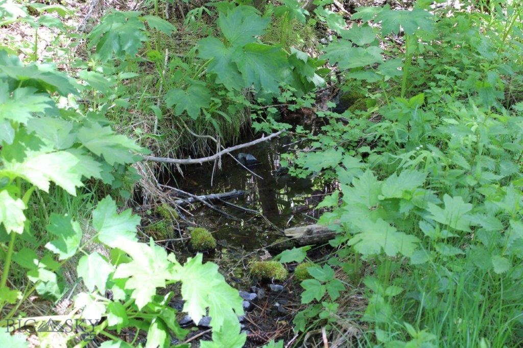 6 Pine Coulee Property Photo 44