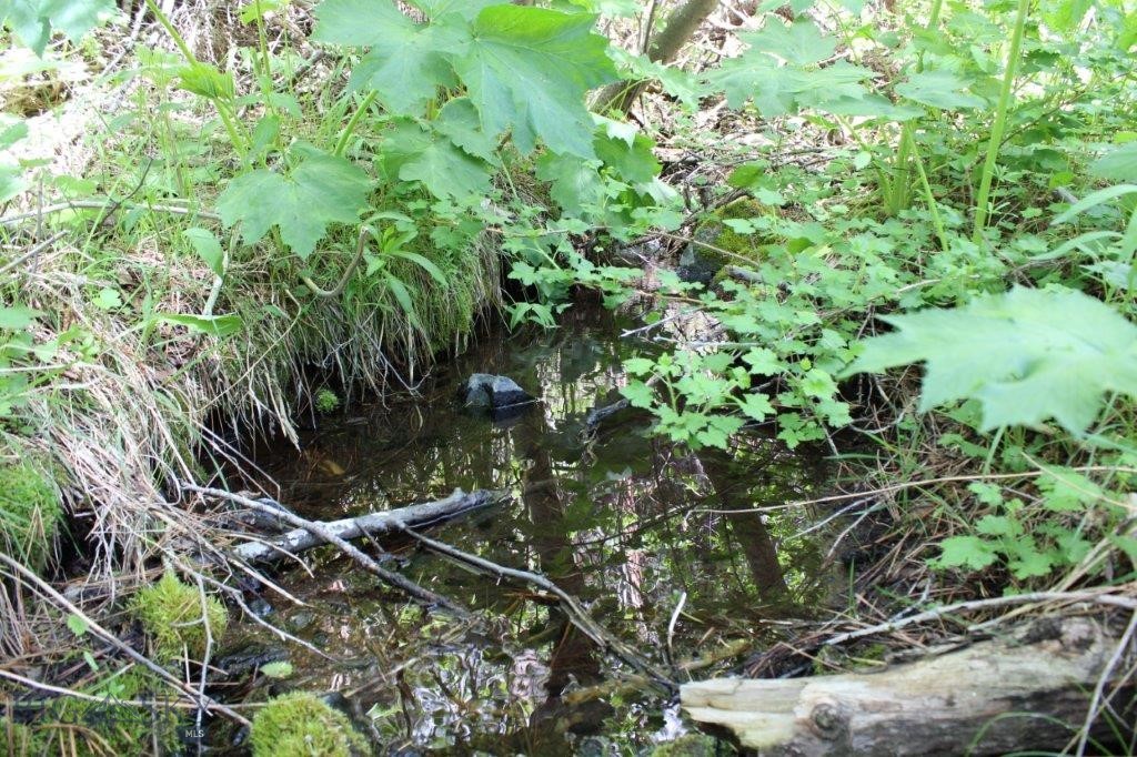 6 Pine Coulee Property Photo 45