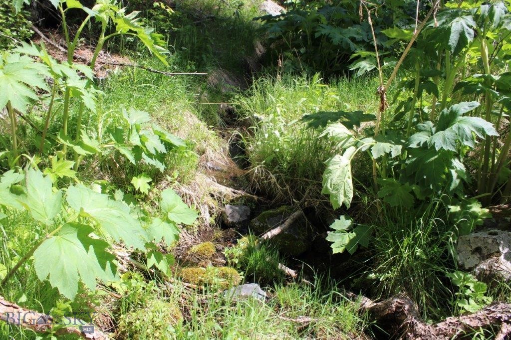6 Pine Coulee Property Photo 46