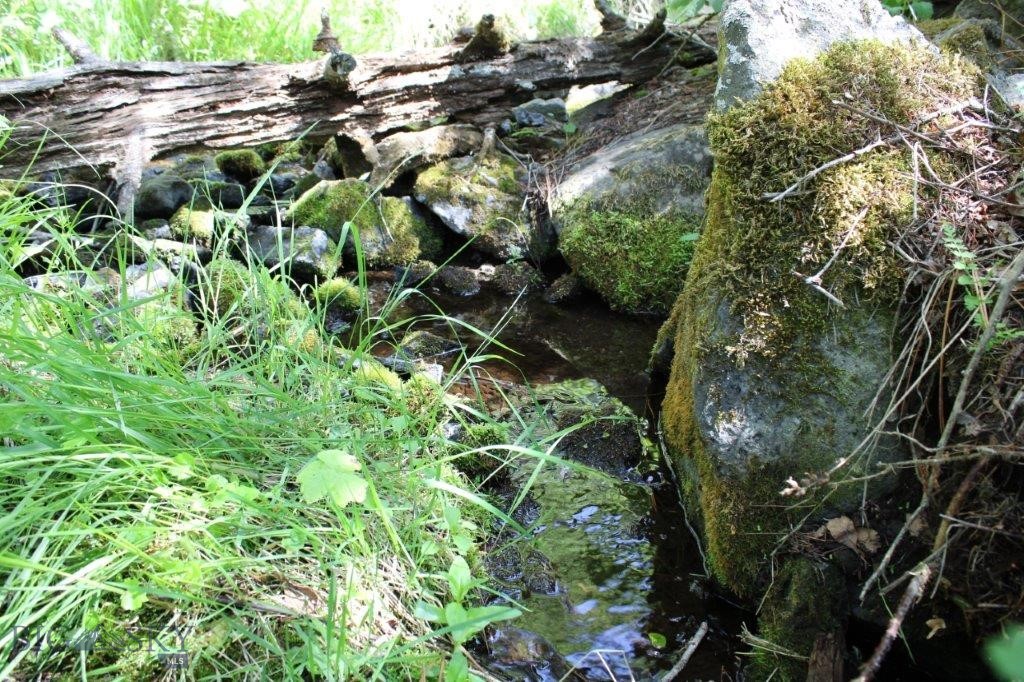 6 Pine Coulee Property Photo 48