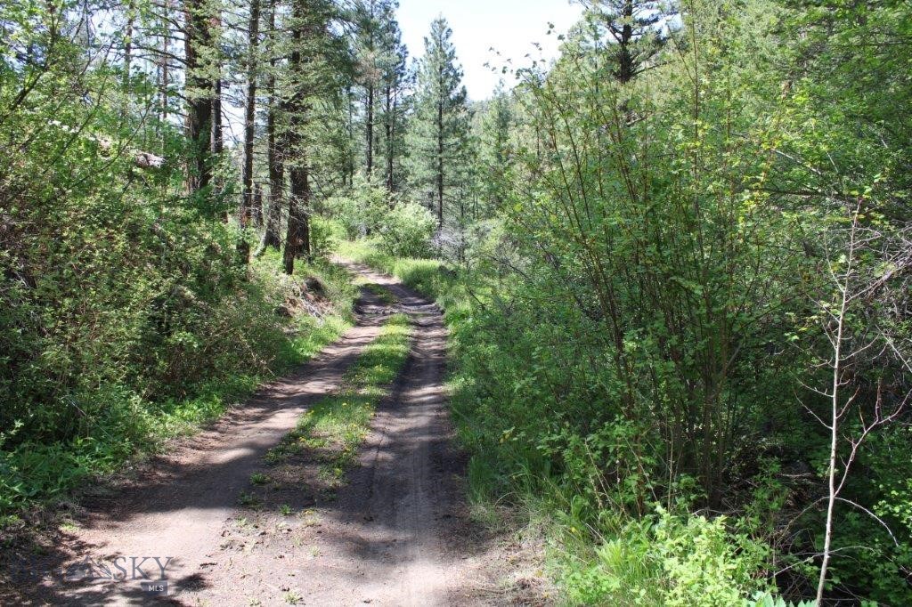 6 Pine Coulee Property Photo 50