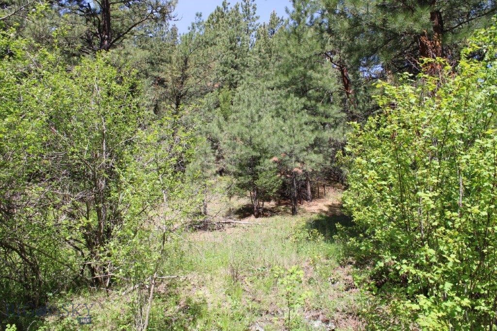 6 Pine Coulee Property Photo 51