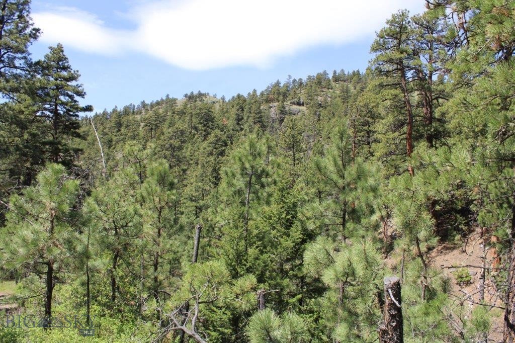 6 Pine Coulee Property Photo 52