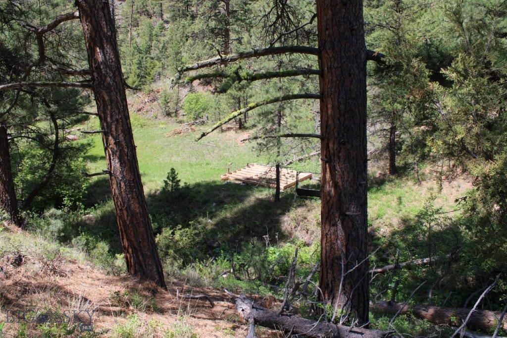 6 Pine Coulee Property Photo 53