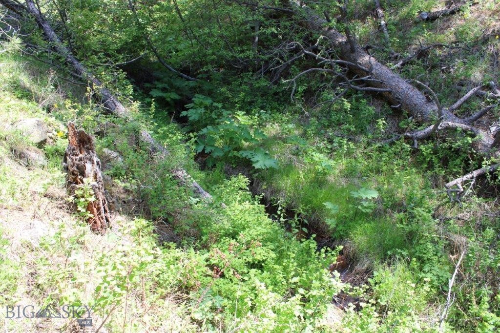 6 Pine Coulee Property Photo 59