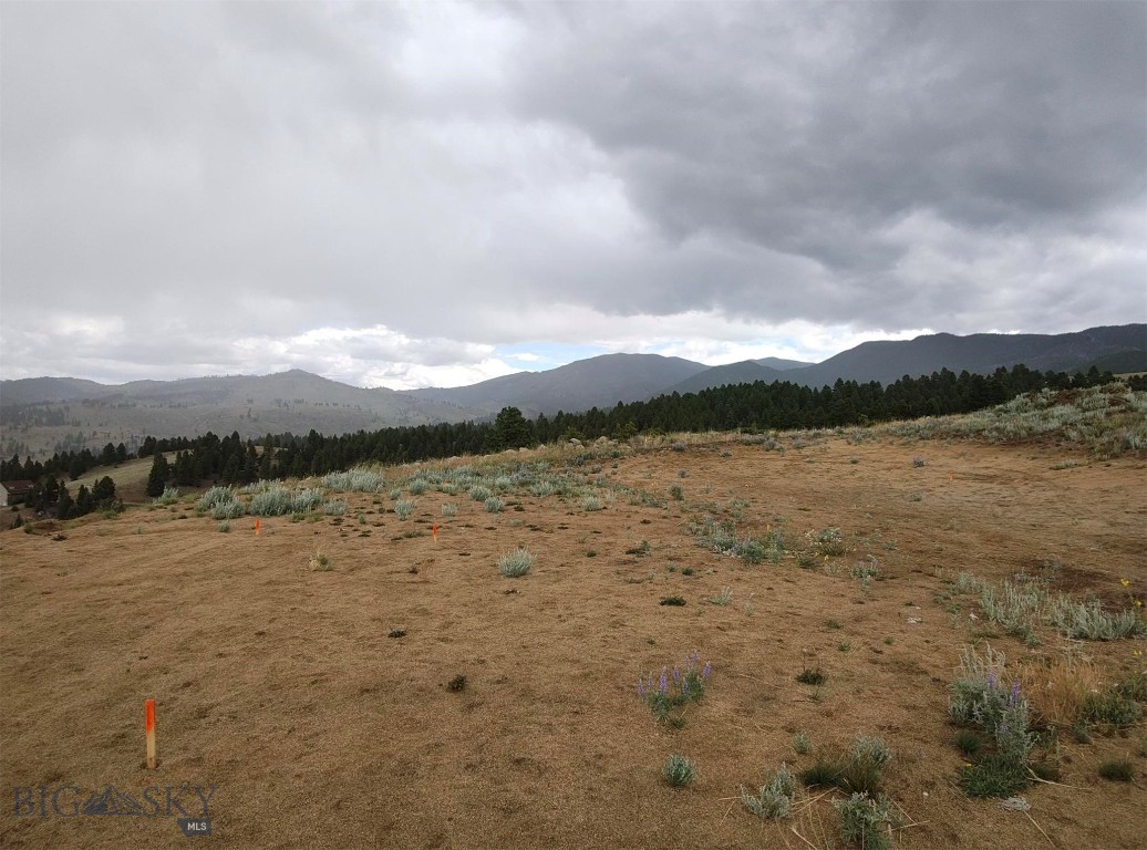 411299 Property Photo 3