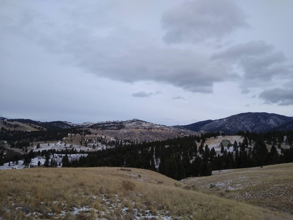 411299 Property Photo 17