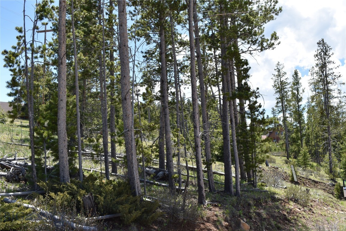 16 Mule Deer Lane Property Photo 4