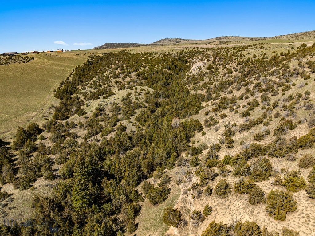 Tbd Skinner Road Property Photo 35