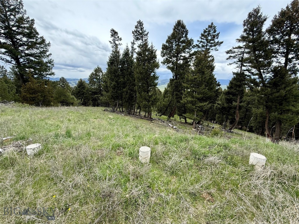 130 Granite Road Property Photo 11