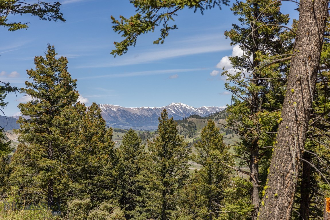 15 Ac Elk Ridge Road Property Photo 8