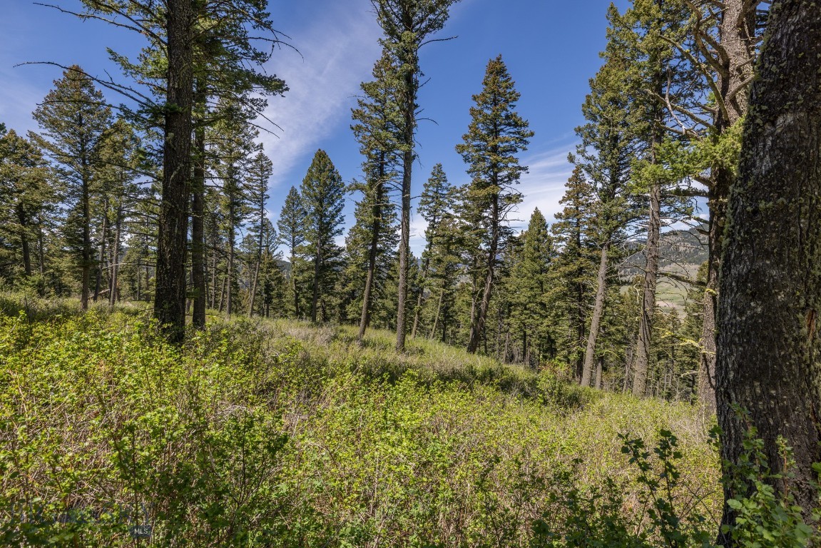 15 Ac Elk Ridge Road Property Photo 25