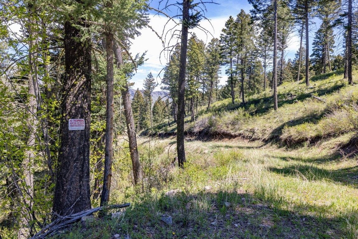 15 Ac Elk Ridge Road Property Photo 33