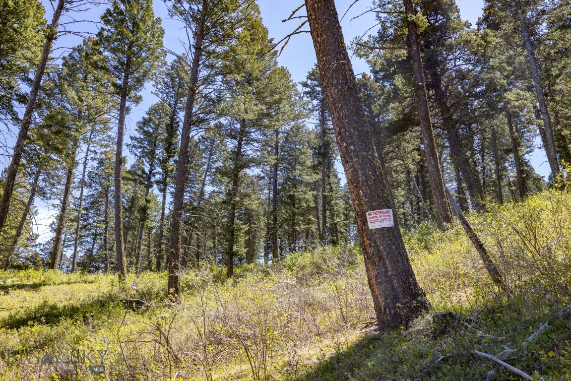 15 Ac Elk Ridge Road Property Photo 34