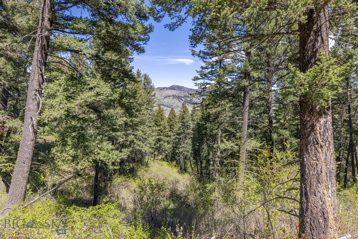 15 Ac Elk Ridge Road Property Photo 35