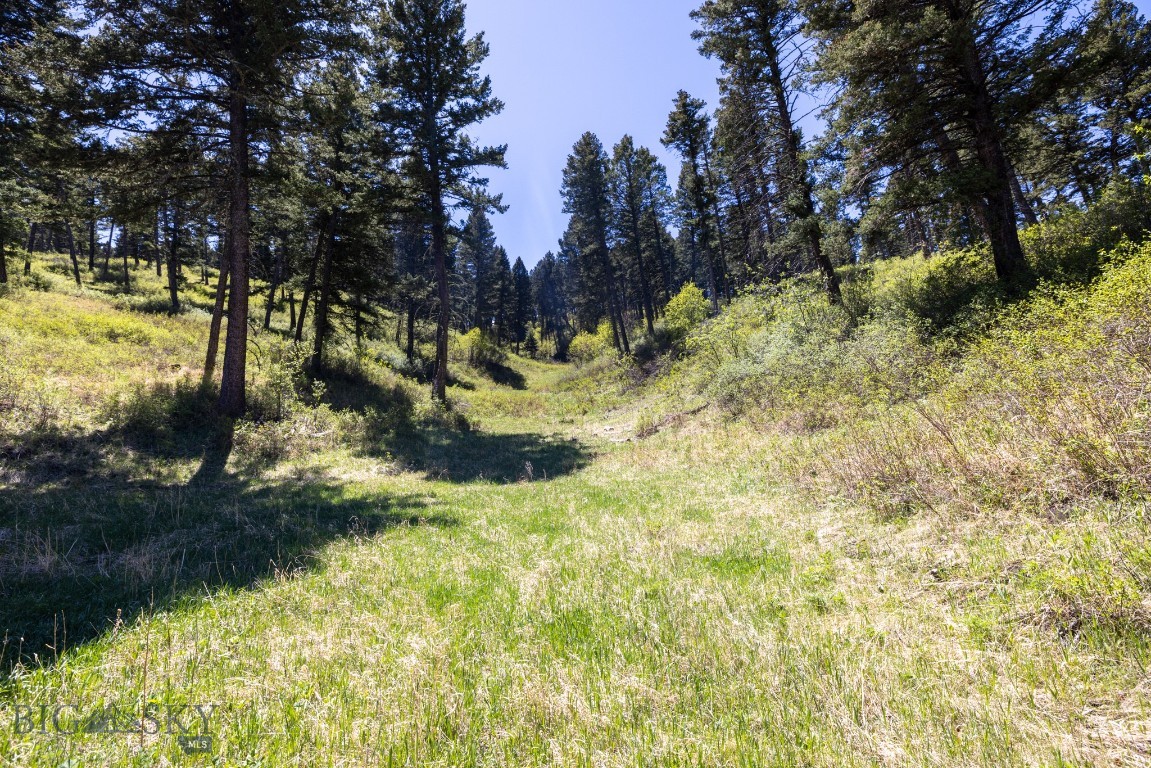15 Ac Elk Ridge Road Property Photo 37