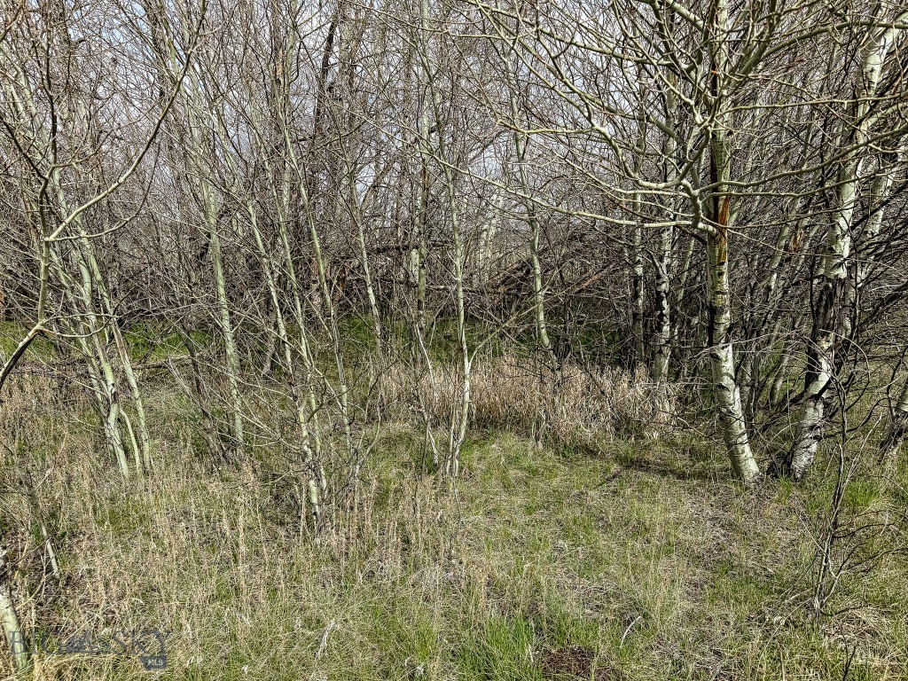 7615 Highway 2 Property Photo 42