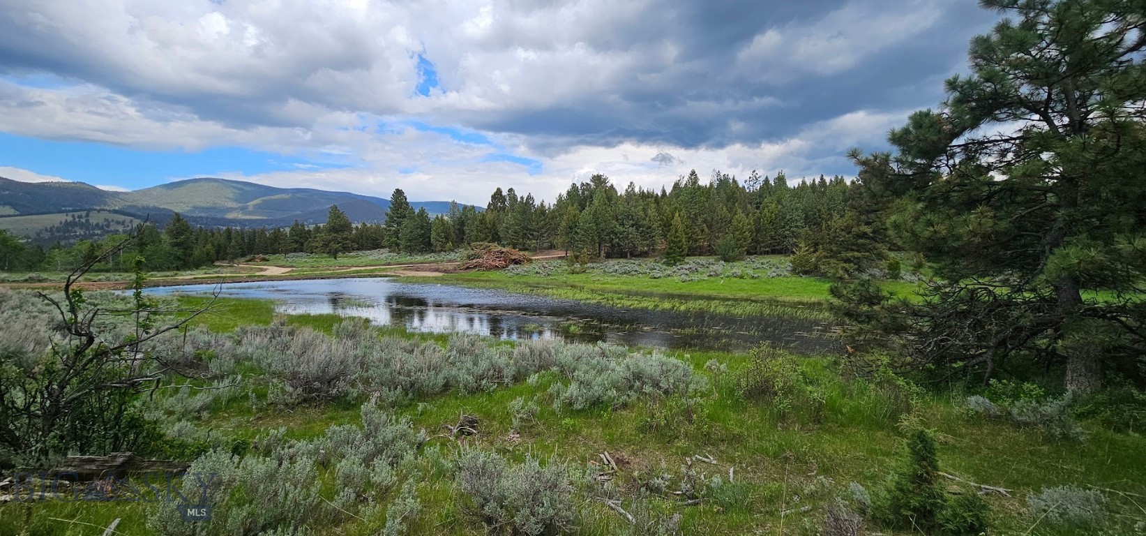 10 Tract, Hall Creek Property Photo 6