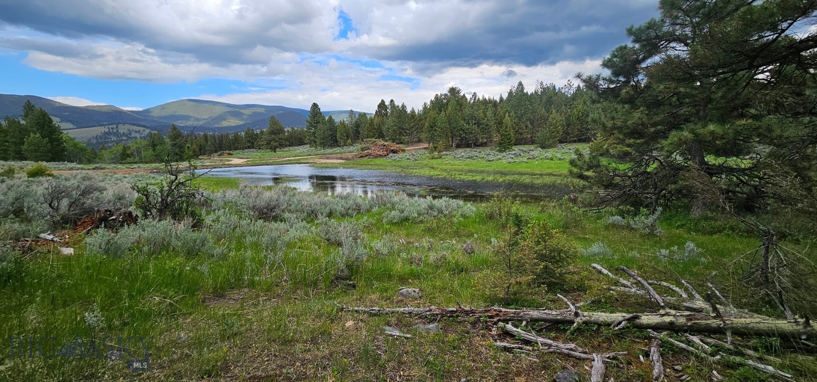 10 Tract, Hall Creek Property Photo 7