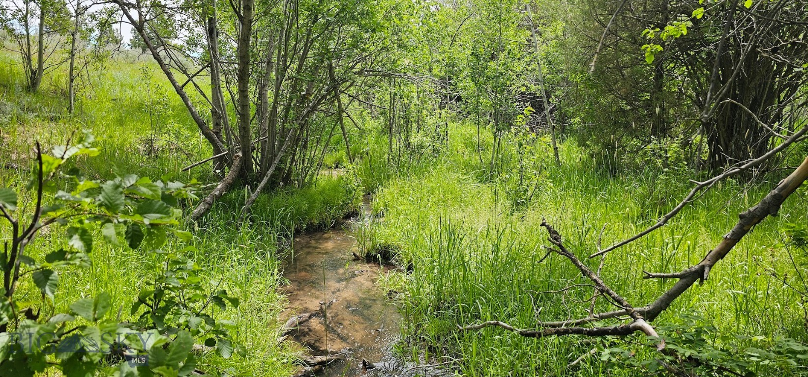 10 Tract, Hall Creek Property Photo 11