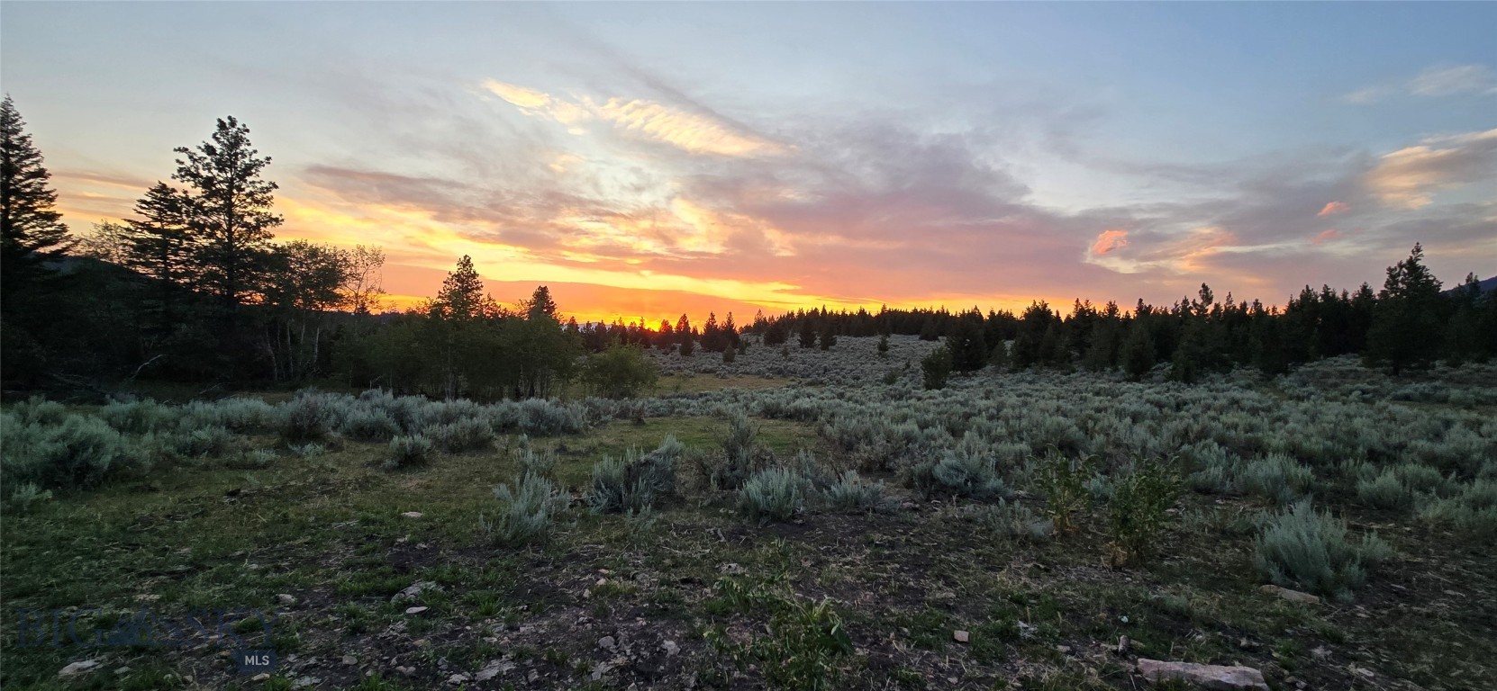 10 Tract, Hall Creek Property Photo 17