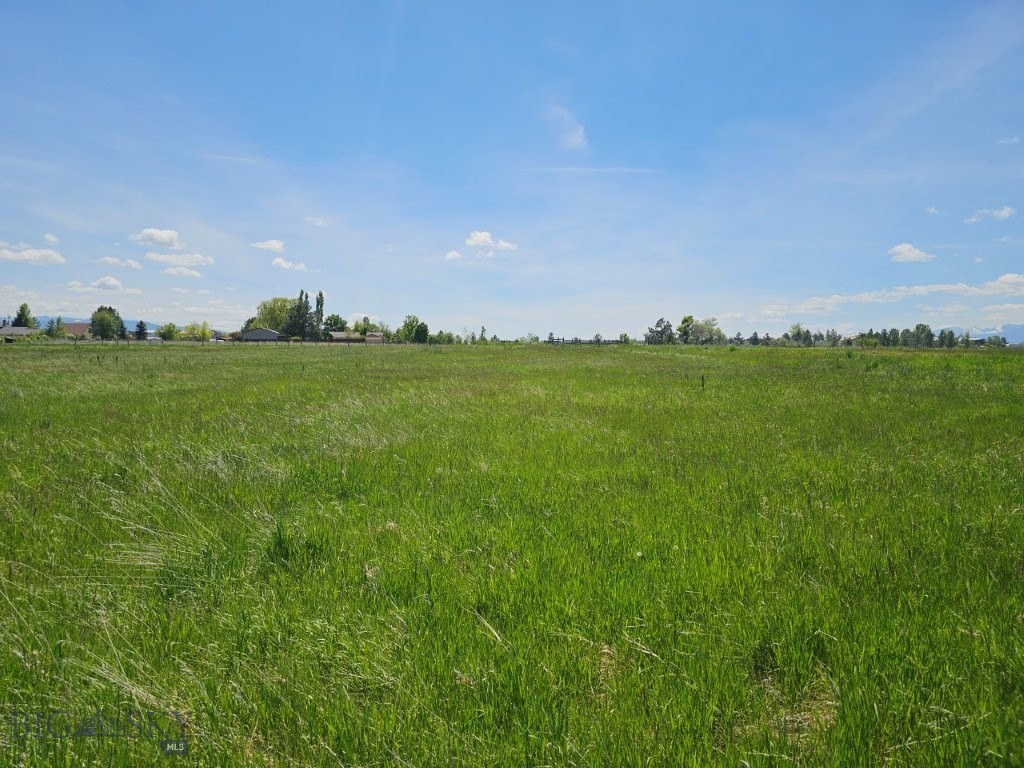 Tbd Illinois Bench Road Property Photo 17