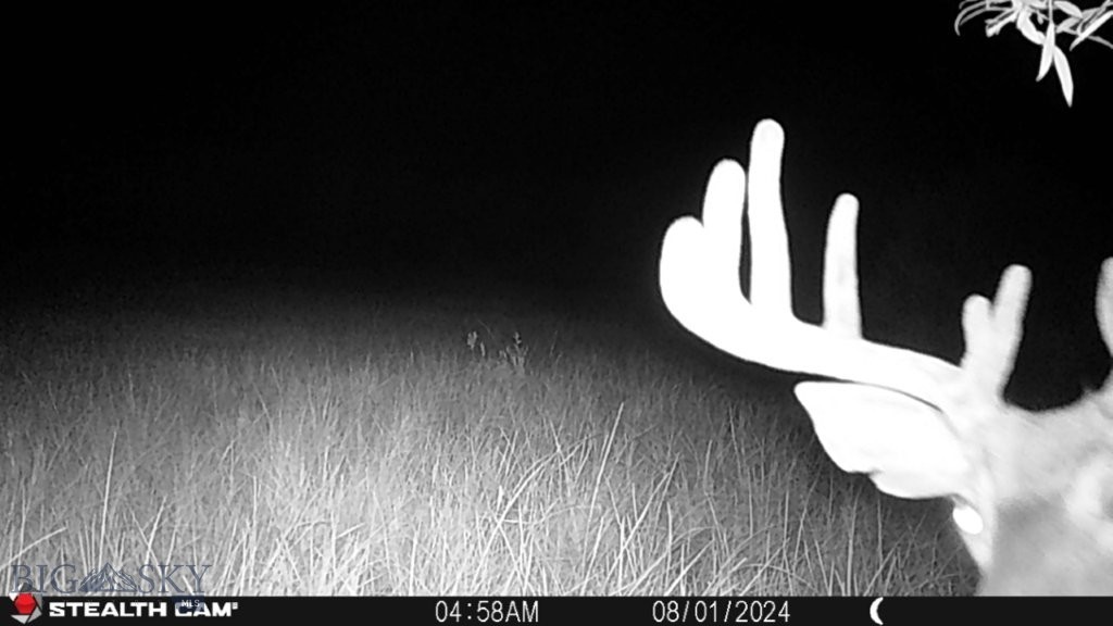 Tbd Camp Creek Road Property Photo 6